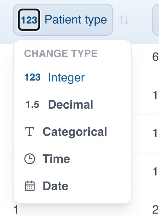 Data type indicators